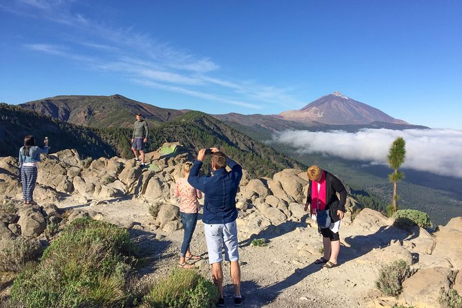 Mount Teide and Tenerife North with Food & Wine Tasting Private Tour - Getting picked up, then riding the Mercedes EQV in comfort