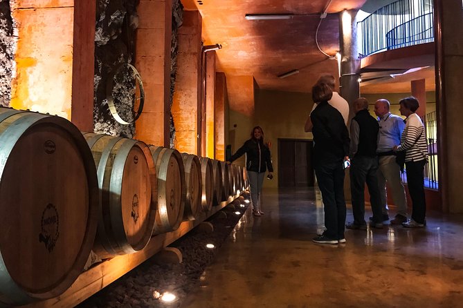 Mount Teide and Tenerife North with Food & Wine Tasting Private Tour - Bodegas Monje: guided winery visit, terrace views, and a Canarian lunch