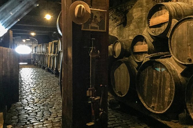 Mount Teide and Tenerife North with Food & Wine Tasting Private Tour - Wine tasting that actually has context, not just tastings on autopilot