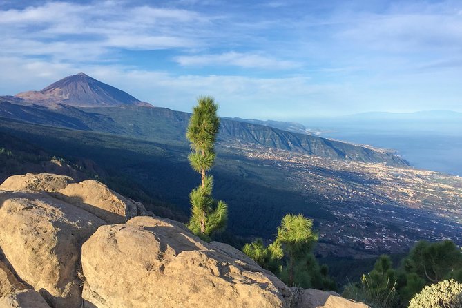 Mount Teide and Tenerife North with Food & Wine Tasting Private Tour - Price and value: what $1,061.66 per group buys you