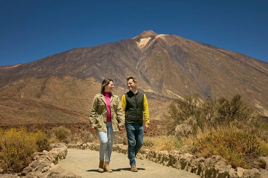Mount Teide: Day Trip to Volcano Teide Without Cable Car - Getting to the park: group transport, pickups, and the reality of the climb
