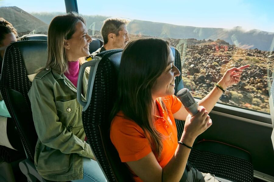 Mount Teide: Day Trip to Volcano Teide Without Cable Car - Price and value: what you get for about $58