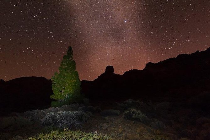 Mount Teide Night Tour: Stargazing, Dinner and Hotel Pick up - Price and value: is $93.93 worth it for your evening