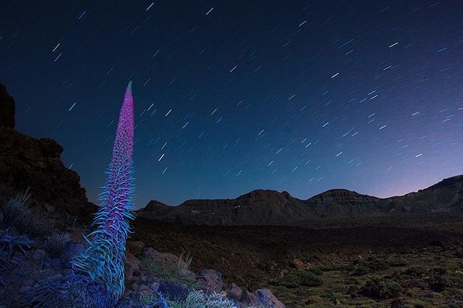 Mount Teide Night Tour: Stargazing, Dinner and Hotel Pick up - Logistics that can make or break the night: pickup, timing, and cold