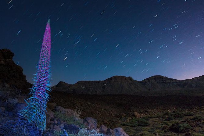 Mount Teide Night Tour: Stargazing, Dinner and Hotel Pick up - Dinner at Bodega Reverón in Vilaflor, Tenerife’s high-village stop