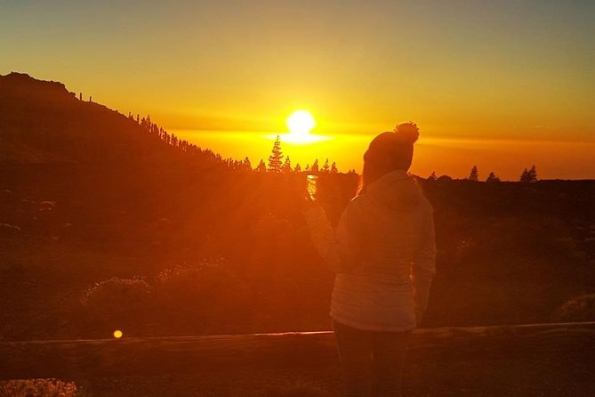Mount Teide Stargazing with Dinner - Hotel pickup and a 6.5-hour evening plan that keeps you moving