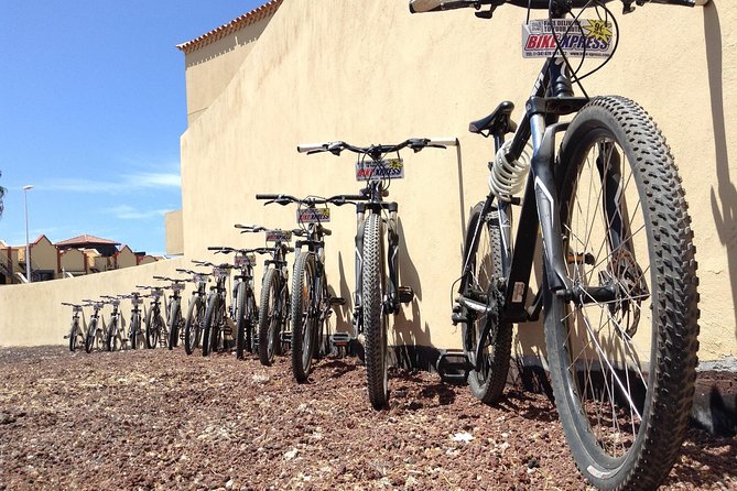 Mountain Bike Rental Tenerife - Why a 29-Inch Hardtail Rental Beats a Packed Bike Tour