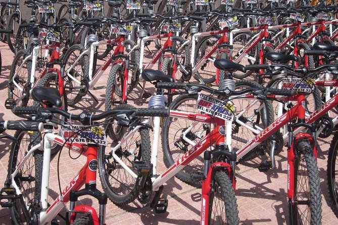 Mountain Bike Rental Tenerife - Who This Bike Rental Fits Best