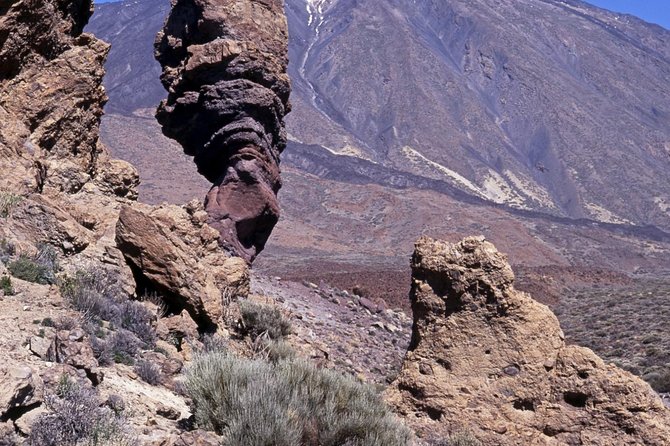 Mt. Teide and Masca Valley Tour in Tenerife - Getting picked up: where the bus starts and why timing matters