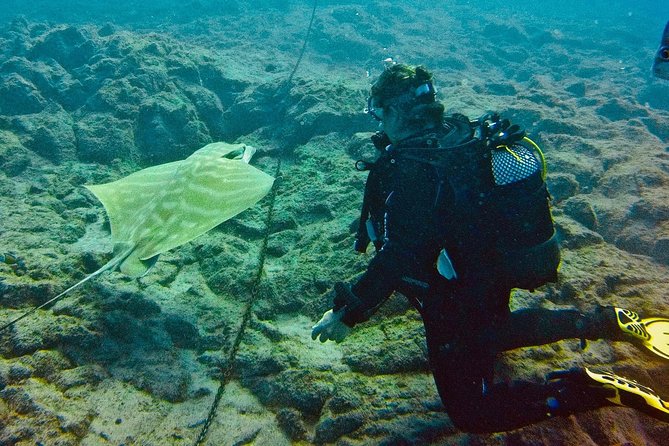 OPEN WATER CERTIFICATION - Become an autonomous diver up to 18m ! - Your 3-day or 6-day timeline, plus why duration matters