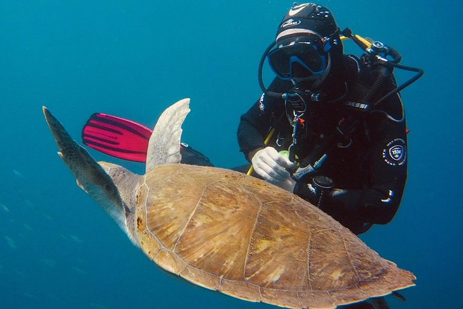 OPEN WATER CERTIFICATION - Become an autonomous diver up to 18m ! - Safety and coaching: how fears get managed in real time