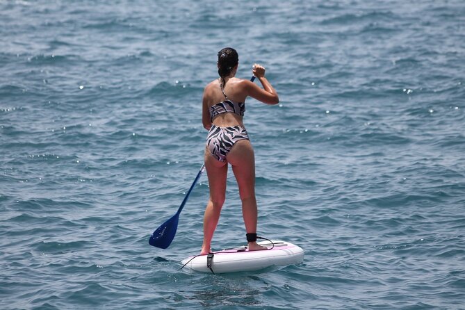Paddle Surf - What the Lesson Teaches: Technique and Safety, Then Real Practice