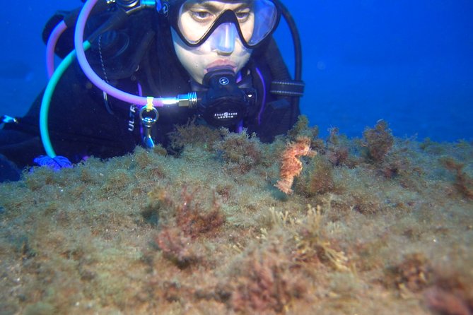 PADI Advanced Open Water Diver Course (AOWD) - 2 days - PADI AOWD Tenerife in 2 days: what you are really paying for