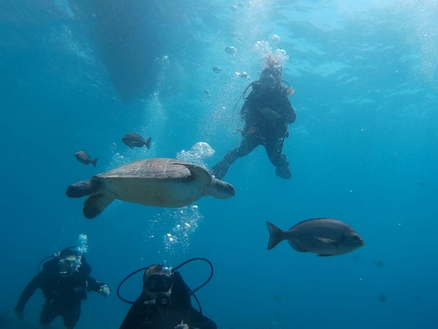 PADI Open Water Course in 3 Days - Key Highlights You’ll Feel in Day 1 and Remember Later