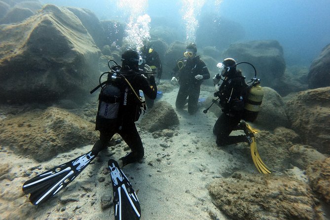 PADI Open Water Course in Costa Adeje - E-Learning Before Day One: How to Prepare Without Stress