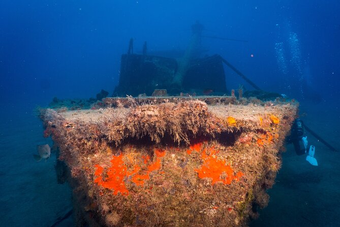 PADI Open Water course in Playa de las Americas - Days 2 and 3: four open-water sessions, boat and shore variety