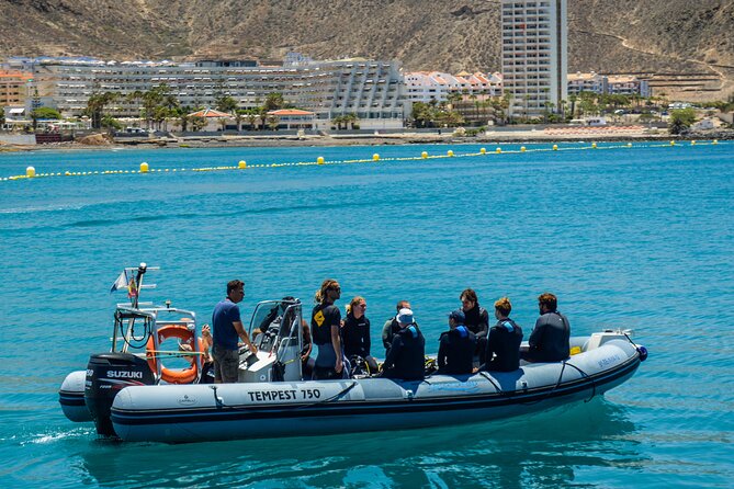 PADI Open Water course in Playa de las Americas - What your $504.41 actually buys (and why it is usually good value)
