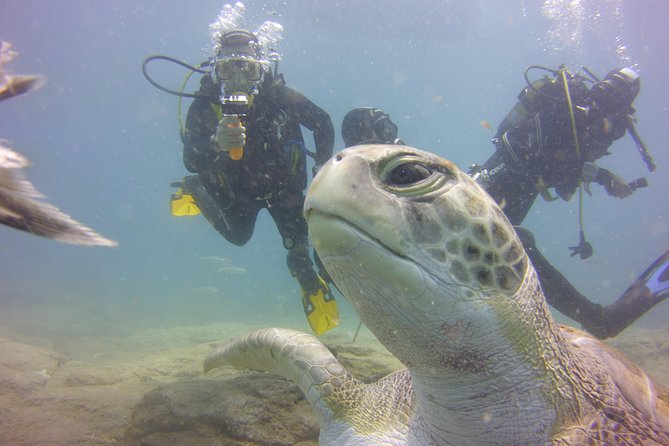 PADI Open Water Diver Course - The 3-day flow: theory first, then skills in small groups
