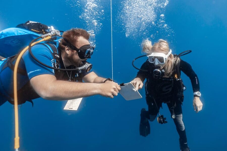 PADI Open Water Diving Course Tenerife - Key takeaways before you go