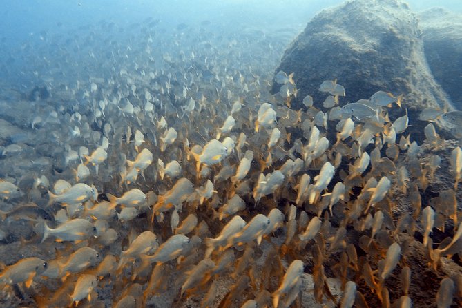 PADI Scuba Dive Course in Costa Adeje - What you learn in the three classroom sessions
