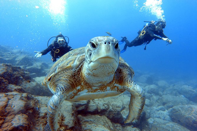 PADI Scuba Dive Course in Costa Adeje - Price and value: what $300.67 includes and what you should expect in return
