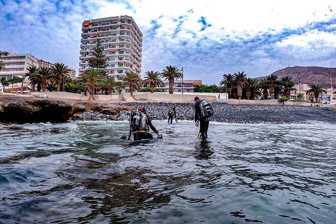 PADI Scuba Diving Courses in Tenerife: All Specialities Until Divemaster - The instructors, the vibe, and what you should look for on day one