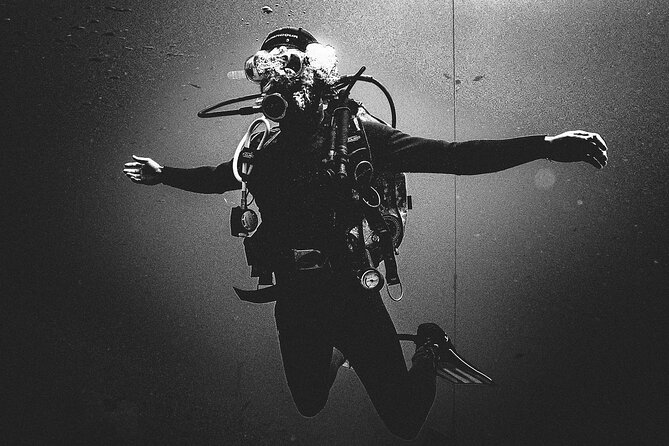 PADI Scuba Diving Courses in Tenerife: All Specialities Until Divemaster - Getting there: pickup, minivan transport, and where timing gets you