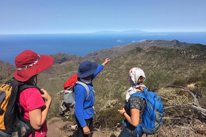 Panoramic route across the Teno rural Park in Tenerife - Key Things That Make This Hike Worth Your Time