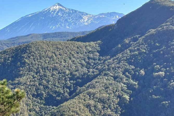 Panoramic route across the Teno rural Park in Tenerife - Stop for Culture: Old Villages and Traditional Architecture