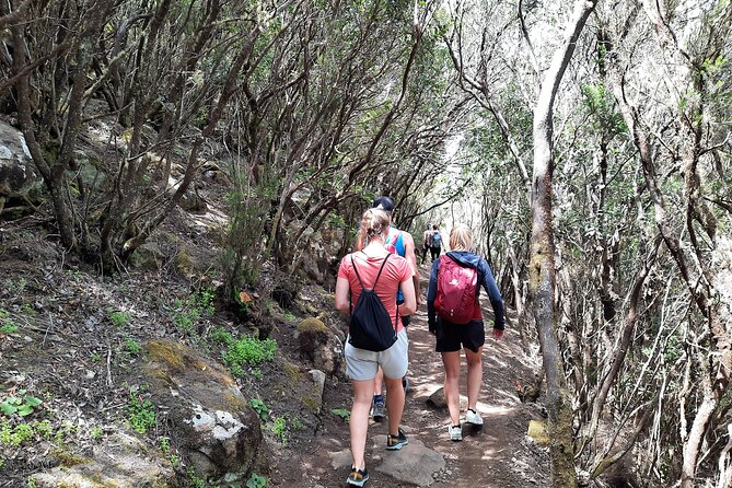Panoramic route across the Teno rural Park in Tenerife - Pace, Difficulty, and What the Numbers Really Mean for You
