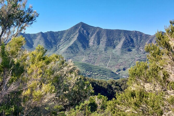 Panoramic route across the Teno rural Park in Tenerife - What to Bring: The “Teno Weather” Reality Check