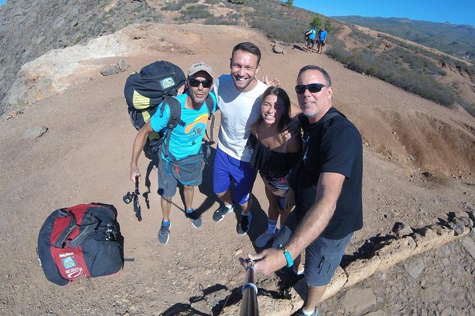 Paragliding Epic Experience in Tenerife with the Spanish Champion Team - Price and Value, What $156.18 Really Buys You