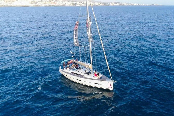 Premium All Inclusive Whale & Dolphin Watching Experience - How the 3 Hours Typically Feel on the Water