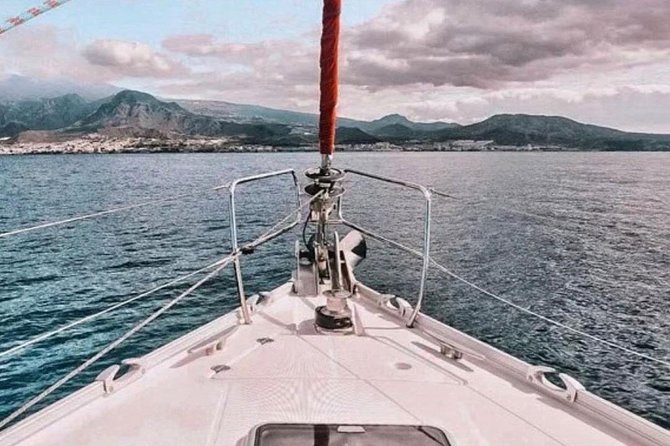 Premium All Inclusive Whale & Dolphin Watching Experience - All Inclusive Drinks and Snacks, and What That Actually Means for Value