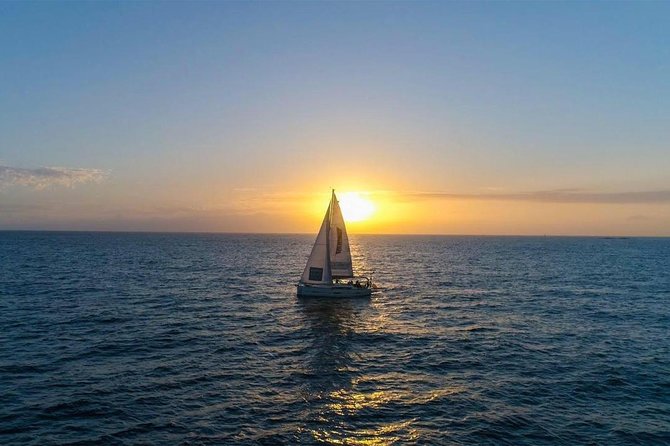 Premium All Inclusive Whale & Dolphin Watching Experience - Why Expert Skippers Change Everything for Whale and Dolphin Watching