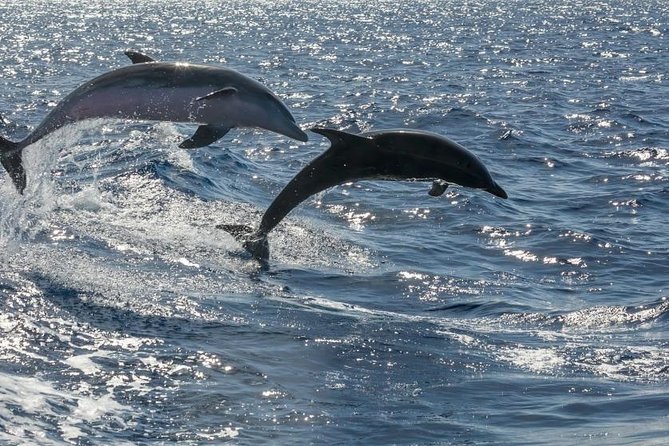 Premium Yacht Private Charter - Drinks, snacks, and the small comforts that change the mood