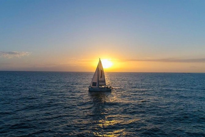 Premium Yacht Private Charter - Whale and dolphin watching, with help from a real captain