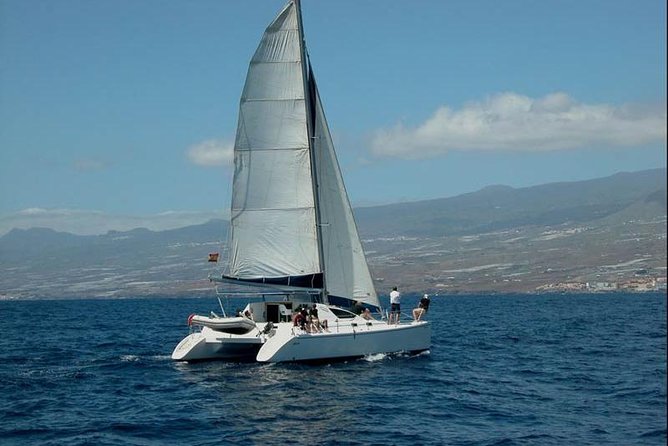 Prestigious cruiser private charter - Key highlights to know before you go