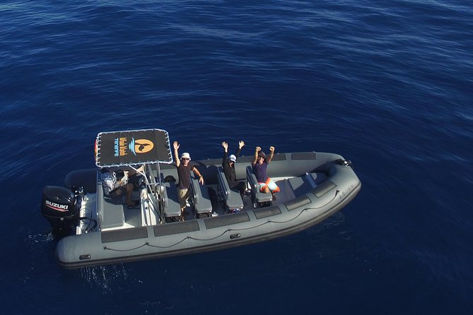 Private 2 hour Whale Watching Tour - 5 Key Things That Make This Private Whale Tour a Smarter Choice