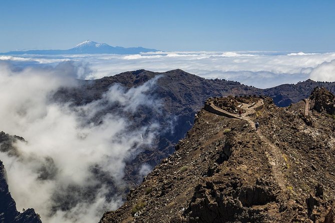 Private 8 hours Tour to El Teide from Tenerife Hotel with driver/guide - Why this private Teide trip feels easier than a coach day