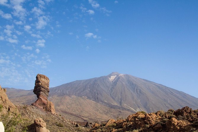 Private 8 hours Tour to El Teide from Tenerife Hotel with driver/guide - Price and value: is $617.85 per person a smart move?