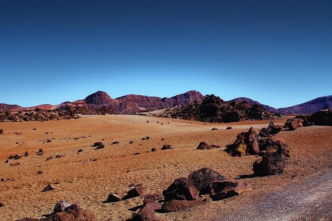 Private 8 hours Tour to El Teide from Tenerife Hotel with driver/guide - Cable car planning: if you choose it, make it part of your strategy