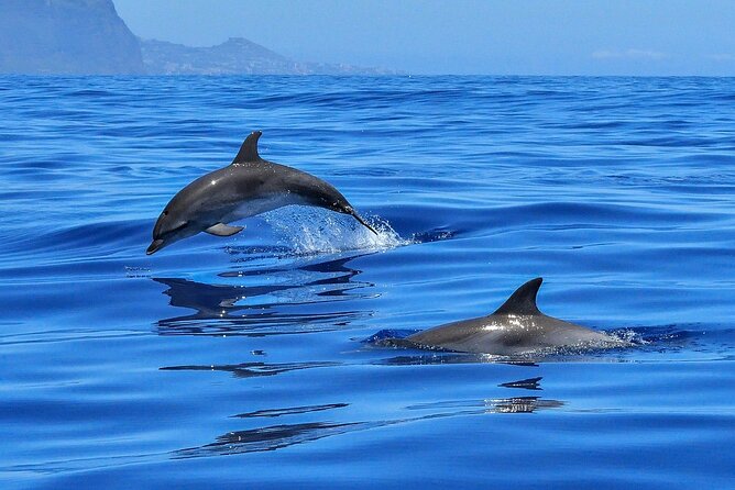 Private boat tour - Practical tips for a smooth 10:00 am start