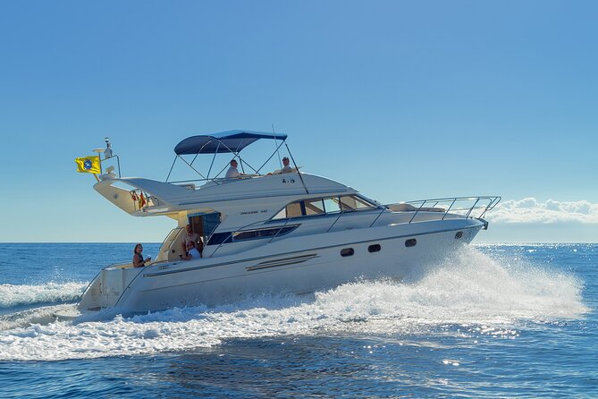 Private Boat Tour on Royal Ocean Yacht, Tenerife - Stop 1 by the cliffs: spotting whales and dolphins, then moving to a wild bay