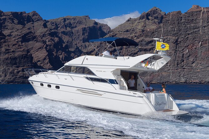 Private Boat Tour on Royal Ocean Yacht, Tenerife - Who this private yacht tour suits best