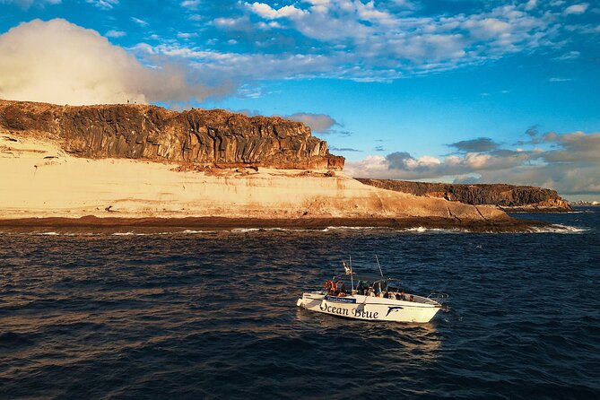private charter 3 Hours Whale Encounter puerto colon adeje - Weather Reality Check: When the Sea Decides the Schedule