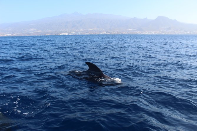 Private Charter in Tenerife south max 7 people - Life Afloat: Cozy Sailboat Comfort, Lunch, and Snacks