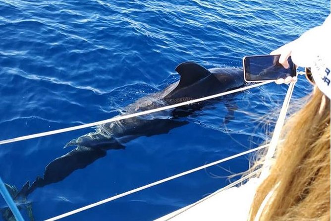 Private Charter in Tenerife south max 7 people - Weather Plans That Keep the Day Fair