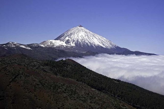 Private excursions for cruise-ship passengers - The visitor center and the altitude reality check