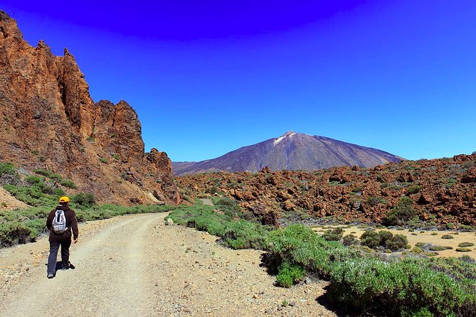 Private Full Day Tour to the Top of the Teide: go hiking and return in cable car - Why this Teide summit hike feels so controlled
